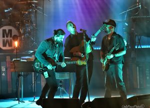 enhanced_image (9)_wm