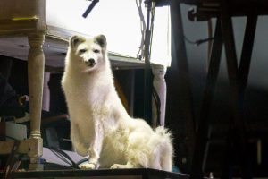 19 Crowder in Norfolk VA 10-18-2024 by Annette Holloway for CCM Mag-8745